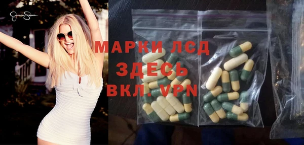 гашик Гусев
