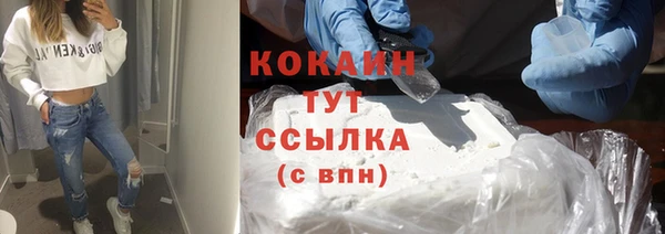 гашик Гусев