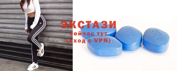 гашик Гусев